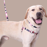 HKM-8315197 Three-Piece Set: Pink/White, Blue/Red, Green/White, Purple/Yellow Dog Leash, Collar, and Harness