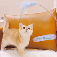 HKM-8319165 Cat Hat for Kittens - Soft, Funny Costume with Adjustable Neck Size 24-30cm, Available in Pink and Gray
