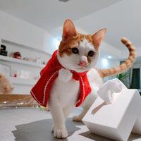 HKM-8320701 Classic Red Christmas Cape for Dogs and Cats in Fleece Material