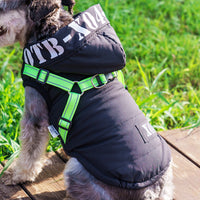 HKM-8334397 Waterproof Fleece-lined Dog Jacket with Hood - Red, Gray, Blue, Black - Sizes S to XXL