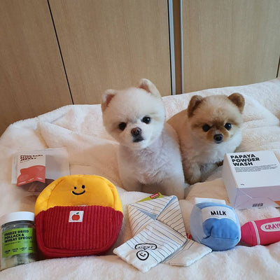HKM-8338237 Plush School Bag Toy Set for Dogs - Three Pencil-Shaped Plush Toys