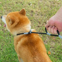 HKM-8339389 Strong Double Handle No Pull Dog Leash with Slip Chain for Small Dogs and Puppies ¨C 1.4m Nylon Rope Traction Lead