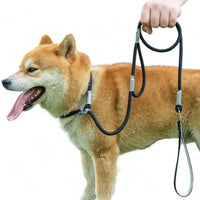 HKM-8339389 Strong Double Handle No Pull Dog Leash with Slip Chain for Small Dogs and Puppies ¨C 1.4m Nylon Rope Traction Lead