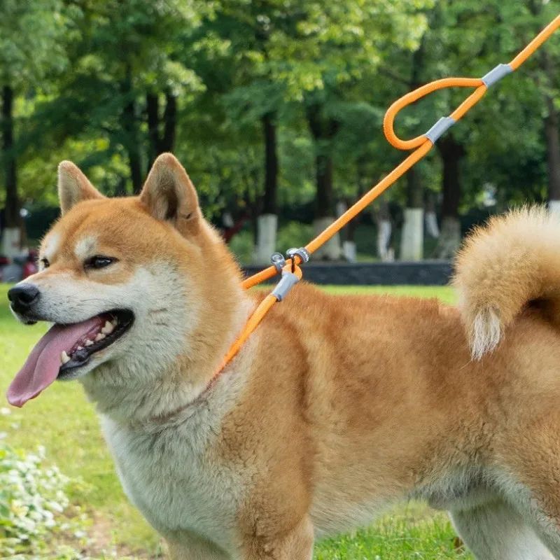 HKM-8339389 Strong Double Handle No Pull Dog Leash with Slip Chain for Small Dogs and Puppies ¨C 1.4m Nylon Rope Traction Lead