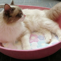 HKM-8339645 Pet Perch Cat Scratcher Bed House - Cozy Felt Shelter with Zipper Access and Bonus Pillow