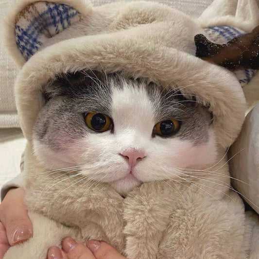 HKM-8340157 Cozy Bear Plush Cloak for Dogs and Cats - Warm Autumn/Winter Blanket