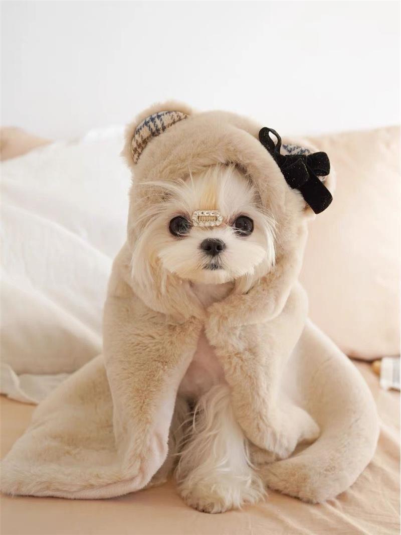 HKM-8340157 Cozy Bear Plush Cloak for Dogs and Cats - Warm Autumn/Winter Blanket