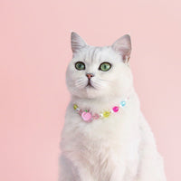 HKM-8341565 Colorful Pearl Pet Necklace with Small Flower Design - Rainbow & Peach Beads, XS/S Sizes