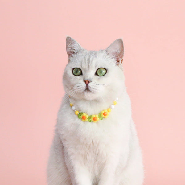 HKM-8341565 Colorful Pearl Pet Necklace with Small Flower Design - Rainbow & Peach Beads, XS/S Sizes