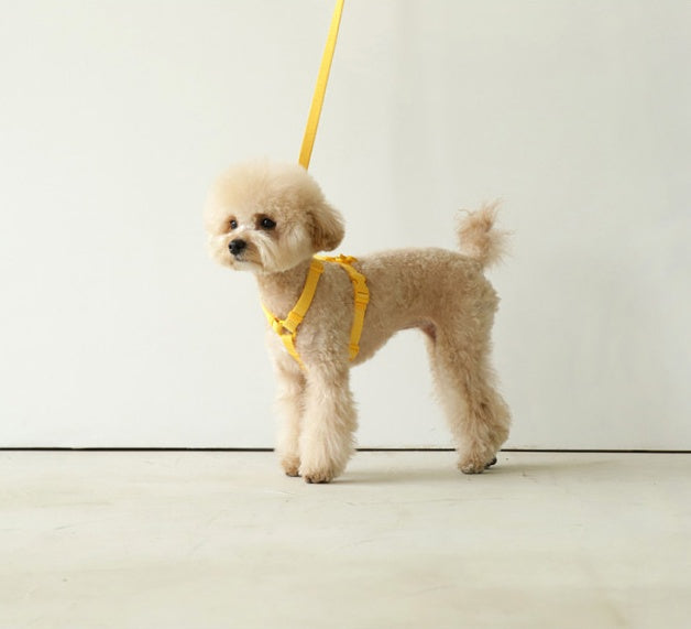 HKM-8345149 Pet Leash in Soft Pastel Colors - 2M Rope for Dogs and Cats