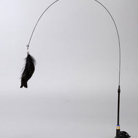 HKM-8346173 Suction Cup Cat Teaser with Steel Wire and Feather Replacement Head for Interactive Play