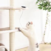 HKM-835155 Interactive Electronic Cat Toy with Motion and Real Fur Ball