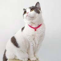 HKM-8353085 Colorful Pearl Heart Pet Necklace for Cats - Adjustable Sizes Available
