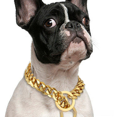 HKM-8353725 Hip Hop Style Titanium Steel 15mm Dog Leash - Various Colors and Lengths Available