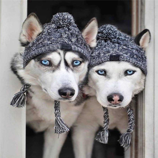 HKM-8355901 Cozy Woolen Dog Hat for Autumn & Winter - Gray Linen, Sizes S to L