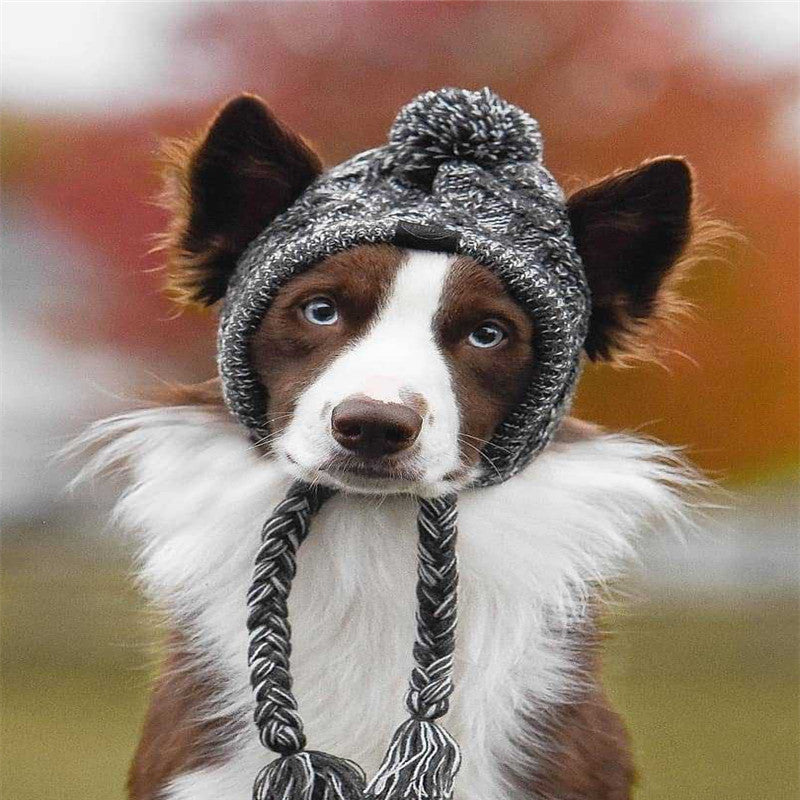 HKM-8355901 Cozy Woolen Dog Hat for Autumn & Winter - Gray Linen, Sizes S to L