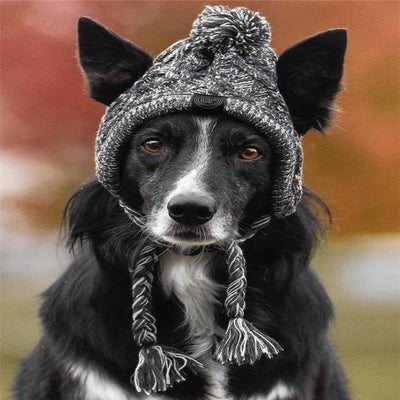 HKM-8355901 Cozy Woolen Dog Hat for Autumn & Winter - Gray Linen, Sizes S to L