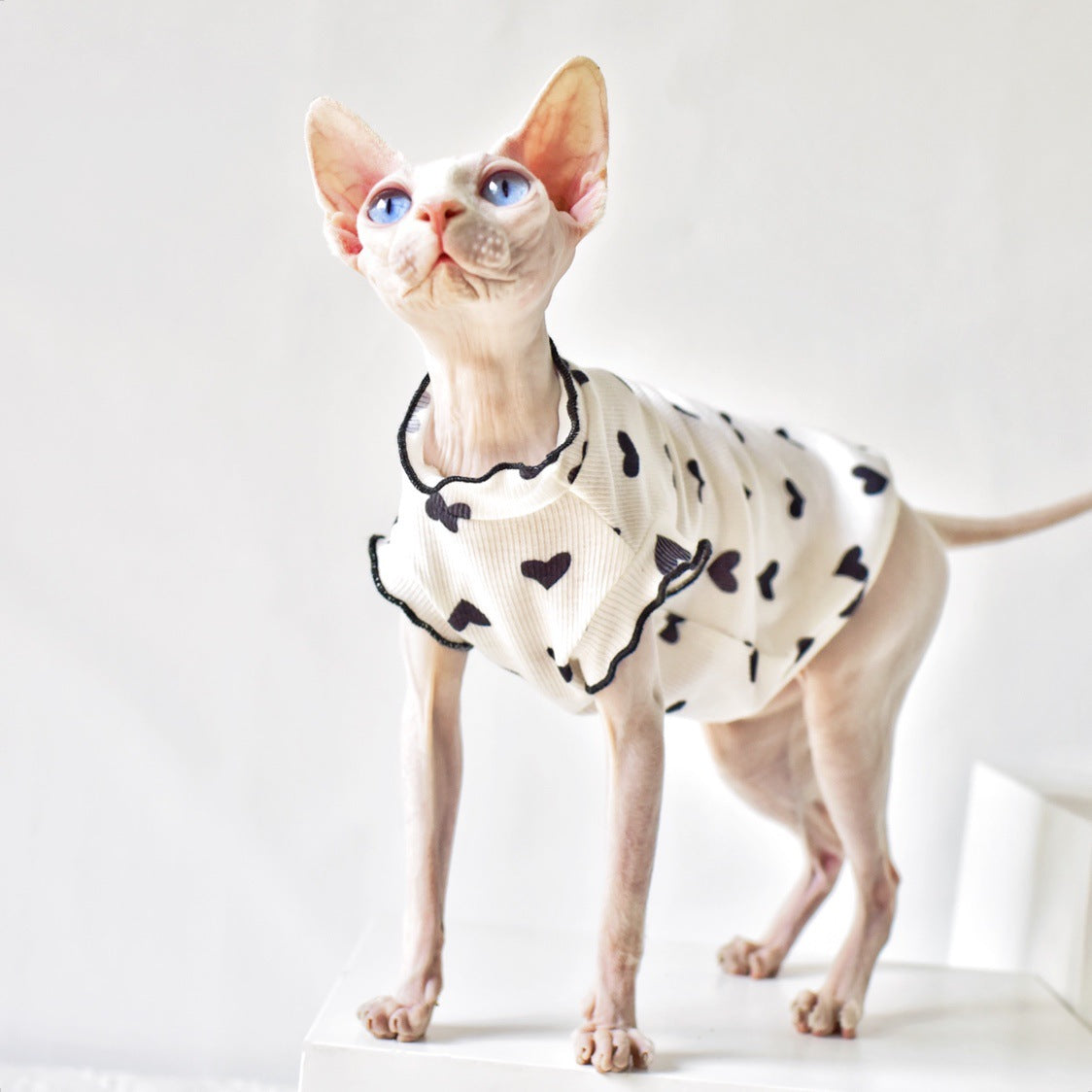 HKM-8357437 Summer Sleeveless Cat Vest in Various Colors - Rubber Material for Warmth
