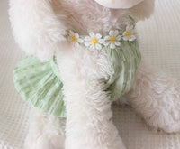 HKM-8358461 Breathable Summer Pet Skirt for Cats and Small Dogs - Lightweight Princess Style in Yellow and Green
