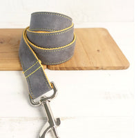 HKM-8360637 Light Blue and Yellow Medium to Large Dog Traction Collar and Rope Set