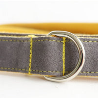 HKM-8360637 Light Blue and Yellow Medium to Large Dog Traction Collar and Rope Set