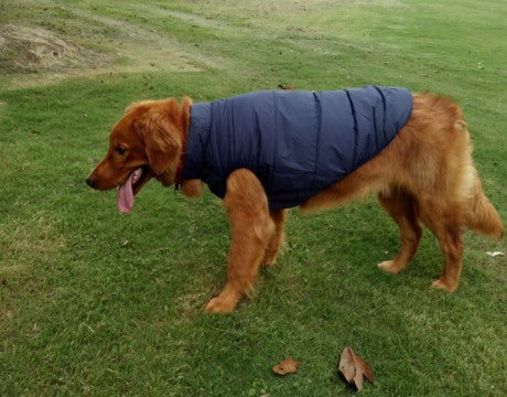 HKM-8361021 Warm Waterproof Dog Jacket for Autumn and Winter Outdoor Adventures