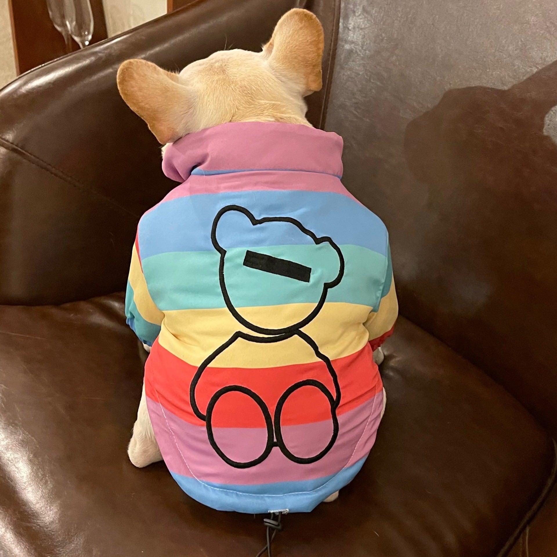 HKM-8361277 Rainbow Polyester Pet Clothes for Pugs, Schnauzers, and Teddy Dogs - Available in Multiple Sizes