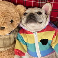 HKM-8361277 Rainbow Polyester Pet Clothes for Pugs, Schnauzers, and Teddy Dogs - Available in Multiple Sizes