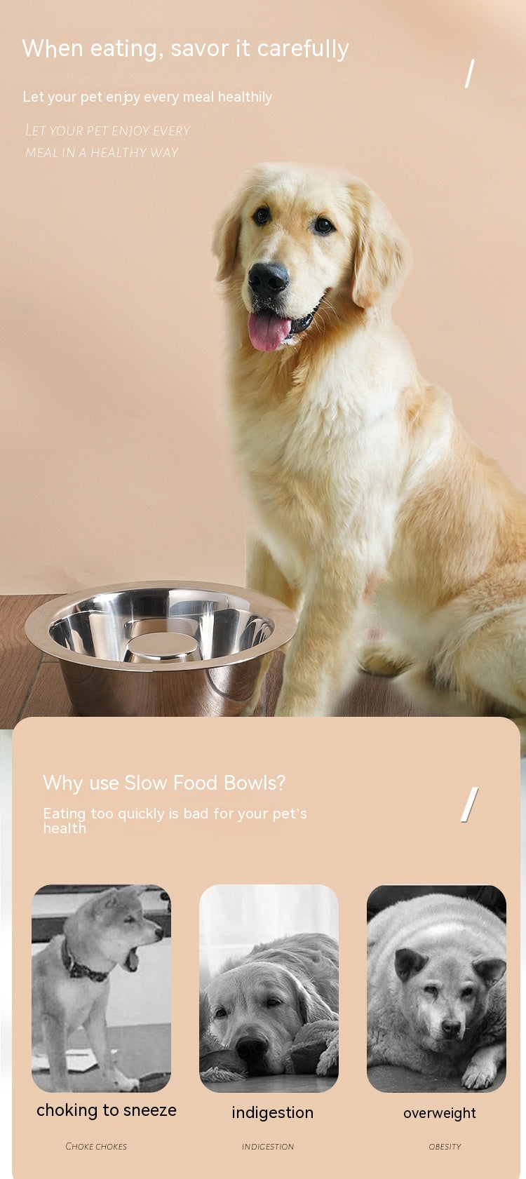 HKM-8368573 Stainless Steel Pet Slow Food Bowl for Cats - Multiple Sizes Available