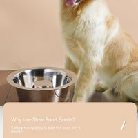 HKM-8368573 Stainless Steel Pet Slow Food Bowl for Cats - Multiple Sizes Available