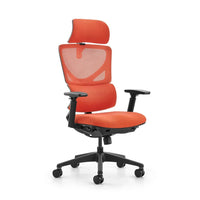HKM-837203 High Back Ergonomic Office Chair with 2D Headrest and Mesh Fabric Design