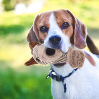 HKM-8375613 Large Plush Dog Squeaky Toy for Interactive Chewing Fun and Bonding - Ideal for Medium to Large Dogs
