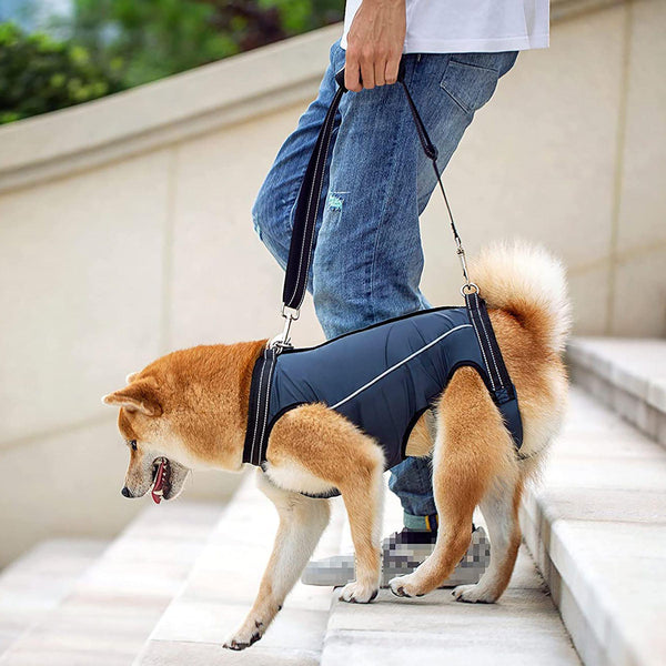 HKM-8377405 Elderly and Disabled Dog Support Vest - Adjustable Auxiliary Belt for Cats - Available in Multiple Sizes and Colors