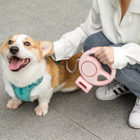 HKM-8377917 Automatic Retractable LED Dog Leash with Hand Grip - Pink and Light Gray, 201.8mm Length