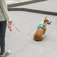 HKM-8377917 Automatic Retractable LED Dog Leash with Hand Grip - Pink and Light Gray, 201.8mm Length