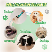 HKM-8379581 Interactive Dog Chewing Toy with Teeth Grinding Function and Pull Ring Design