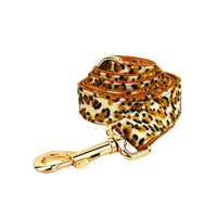 HKM-8383677 Leopard Print Dog Leash and Collar Set with Bow, Vest, and Bag - Five-Piece Collection