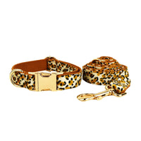 HKM-8383677 Leopard Print Dog Leash and Collar Set with Bow, Vest, and Bag - Five-Piece Collection