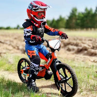 HKM-838675 Electric 16-Inch Kids Bicycle with 2-Speed, Aluminum Frame, Disc Brake, and Lithium Battery