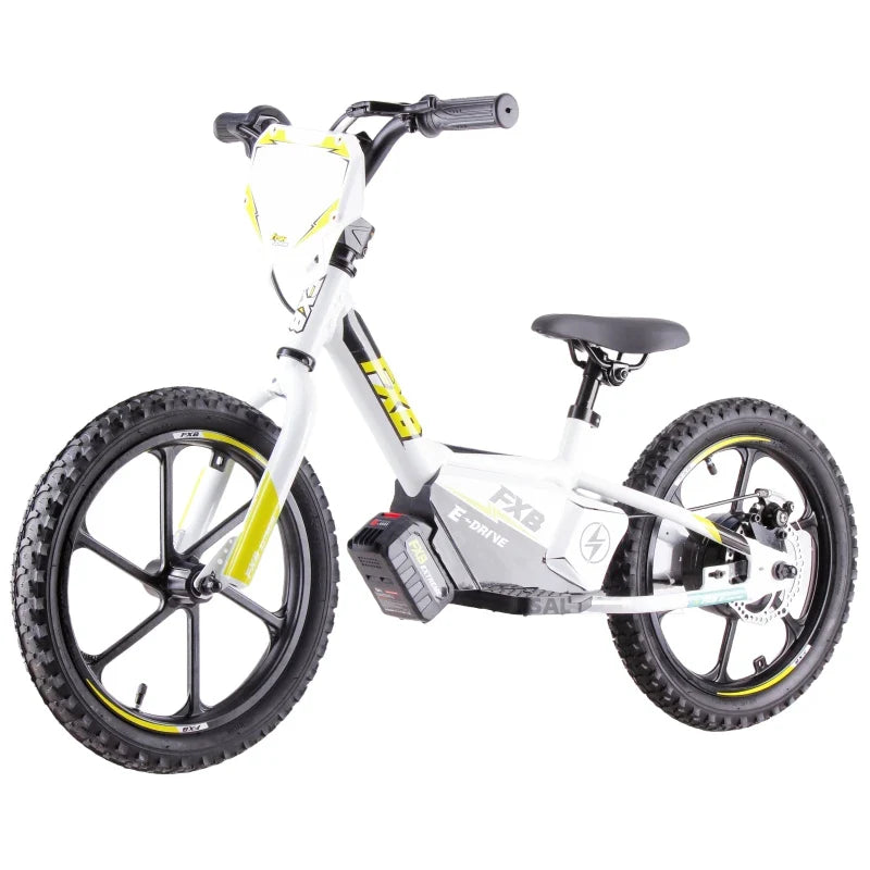 HKM-838675 Electric 16-Inch Kids Bicycle with 2-Speed, Aluminum Frame, Disc Brake, and Lithium Battery