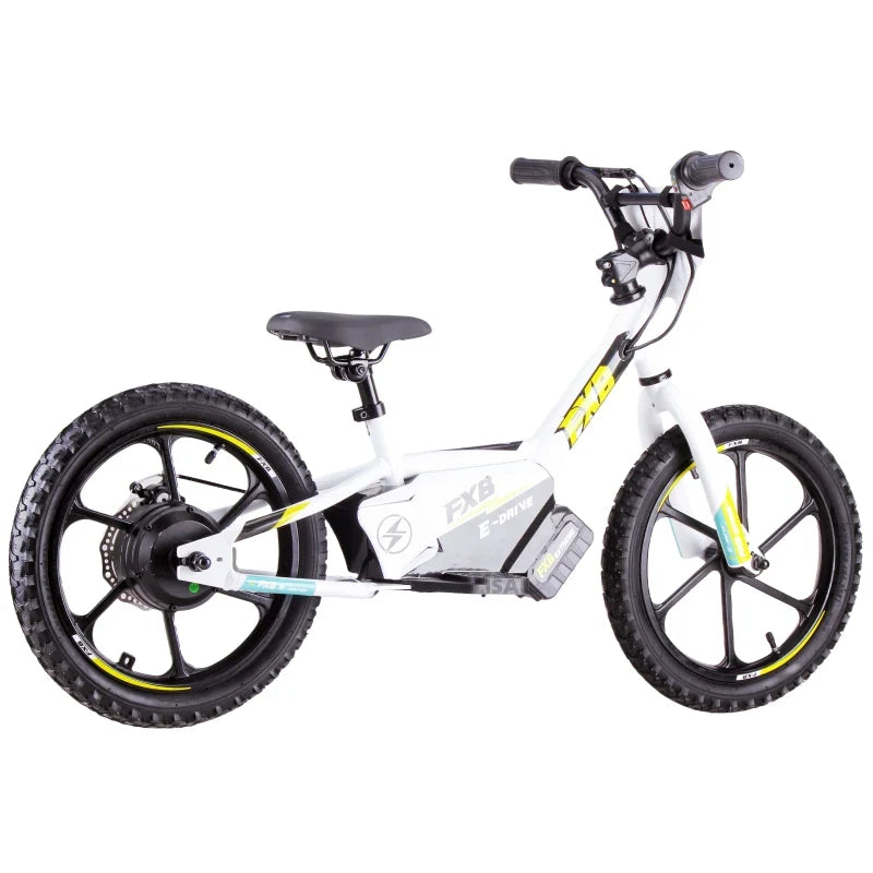 HKM-838675 Electric 16-Inch Kids Bicycle with 2-Speed, Aluminum Frame, Disc Brake, and Lithium Battery