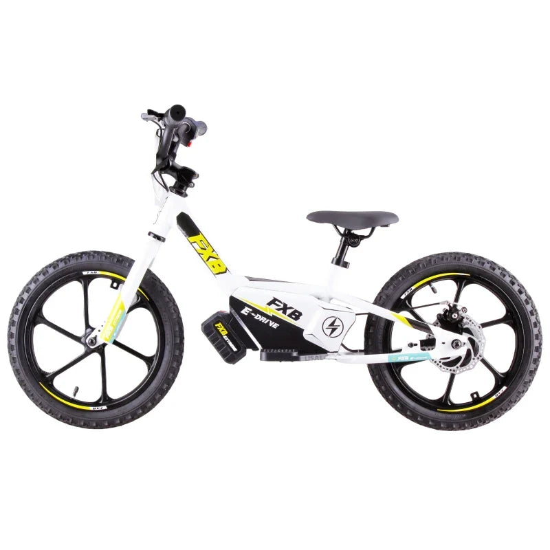 HKM-838675 Electric 16-Inch Kids Bicycle with 2-Speed, Aluminum Frame, Disc Brake, and Lithium Battery
