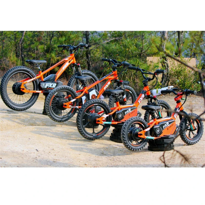 HKM-838675 Electric 16-Inch Kids Bicycle with 2-Speed, Aluminum Frame, Disc Brake, and Lithium Battery