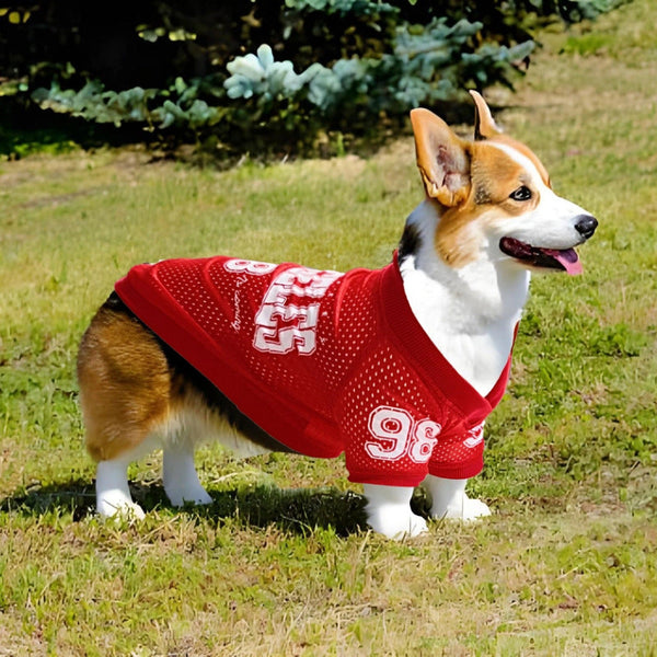 HKM-8389437 Outdoor Sun Protection Uniform for Dogs in Multiple Colors and Sizes