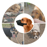 HKM-8391101 Adjustable Soft Breathable Dog Muzzle for Anti Chewing, Barking & Biting – Fits Small to Large Dogs