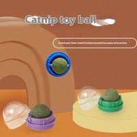 HKM-8392253 Catnip Ball Toy for Cats - Molar Teeth Cleaning, Bite-Resistant, with Avocado Mint & Cheese Flavors