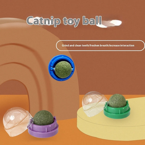 HKM-8392253 Catnip Ball Toy for Cats - Molar Teeth Cleaning, Bite-Resistant, with Avocado Mint & Cheese Flavors