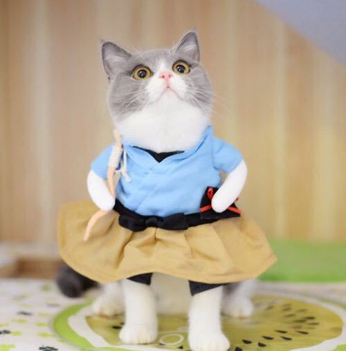 HKM-8393789 Cat Cosplay Outfit - Funny Costume Uniform Suit for Pets, Neck 20-38cm, Bust 28-57cm