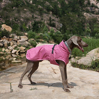 HKM-8394045 Pet Shell Jacket for Dogs - Polyester Winter Ski Suit in Blue, Rose Red, Gray, Sizes S-2XL