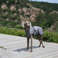 HKM-8394045 Pet Shell Jacket for Dogs - Polyester Winter Ski Suit in Blue, Rose Red, Gray, Sizes S-2XL